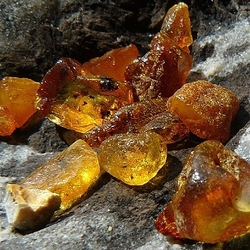 Baltic amber-cca 4,94 g-3x2,7x1,3 cm