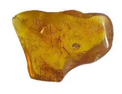 Baltic amber Extra- cca 3,8x2,8x0,8 cm - cca 6 g