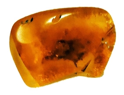Baltischer bernstein-cca 2,48 g-2,5x1,8x0,8 cm