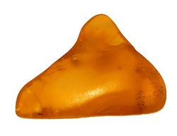 Baltischer bernstein-cca 1,57 g-2,6x2x0,7 cm
