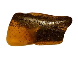 Baltic amber-cca 0,73 g-2,2x1,2x0,5 cm