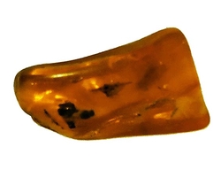 Baltischer bernstein-cca 3,18 g-3x1,7x1 cm