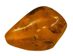 Baltischer bernstein-cca 3,51 g-3x2x1,3 cm