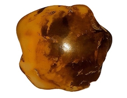 Baltischer bernstein-cca 2,38 g-2,4x2,4x0,5 cm