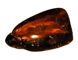 Baltischer bernstein dunkel-cca 5,63 g-3,7x3x1 cm
