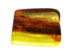 Baltic amber Extra - cca 2,8x2,5x0,7 cm - cca 4 g