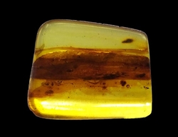  Baltischer bernstein Extra - cca 2,8x2,5x0,7 cm - cca 4 g