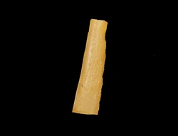 Bernstein Copal Madagaskar - cca 4x1x0,7 cm - cca 3g
