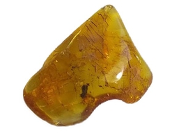 Baltic amber Extra- cca 3,8x2,8x0,8 cm - cca 6 g