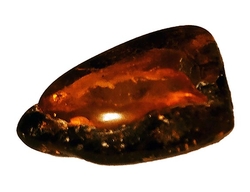 Baltic amber dark-cca 5,63 g-3,7x3x1 cm