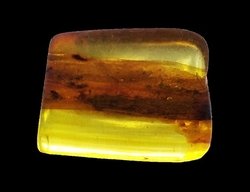 Baltic amber Extra - cca 2,8x2,5x0,7 cm - cca 4 g