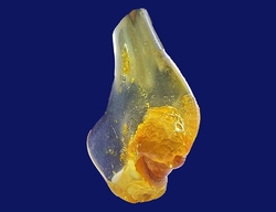  Amber Copal  Madagascar-cca 4,21 g-4x2x1 cm