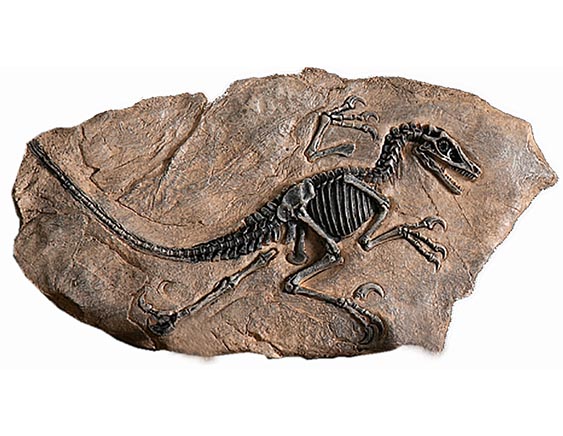Fosilní figurka dinosaura